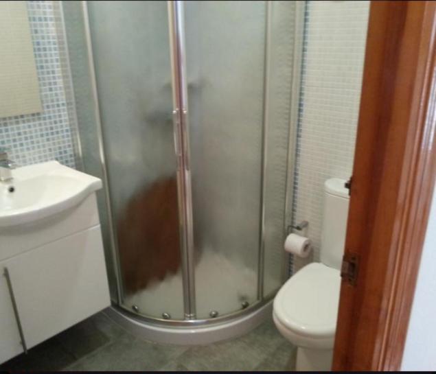 Apartamento En La Playa De San Jose-Sjjc 部屋 写真